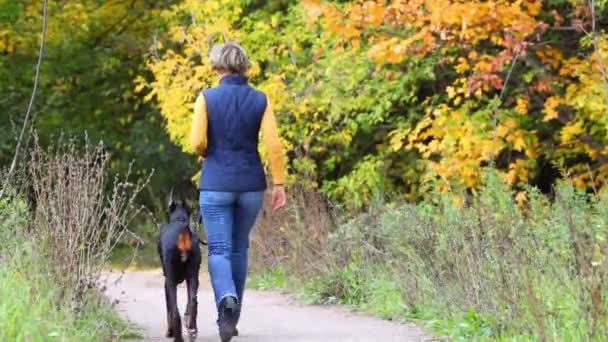 Vrouw lopen met haar hond in herfst bos — Stockvideo