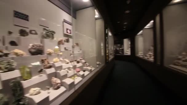 Minerały w Narodowym Muzeum historii naturalnej w Waszyngtonie — Wideo stockowe