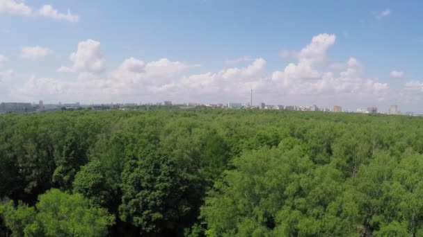 Cityscape acima do jardim onde as pessoas jogam badminton — Vídeo de Stock