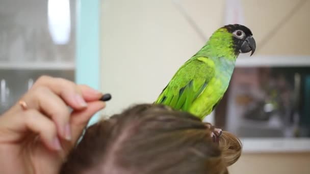 Попугай, сидящий на голове женщины — стоковое видео