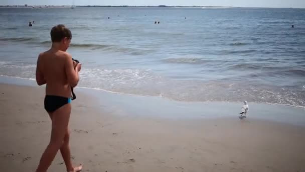 Chłopiec strzela Mewa na piasku w pobliżu morza — Wideo stockowe