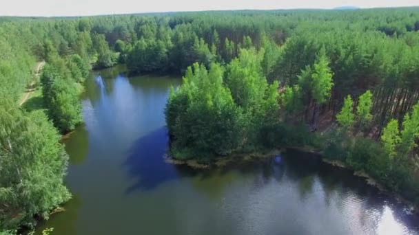 Bosque caducifolio con pequeño muelle fluvial — Vídeo de stock