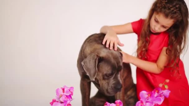 Beautiful girl sits with dog among flowers — Stock Video