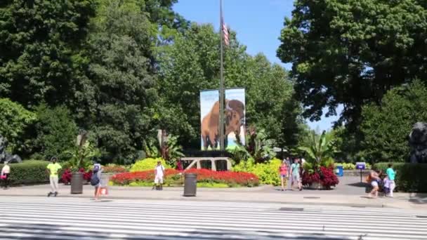 在华盛顿的史密森尼国家动物园的入口处 — 图库视频影像