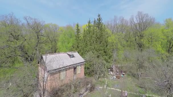 Forest yakınındaki bitkiler arasında kır evi — Stok video