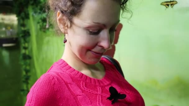 Woman looks at beautiful tropical butterfly — Stock Video