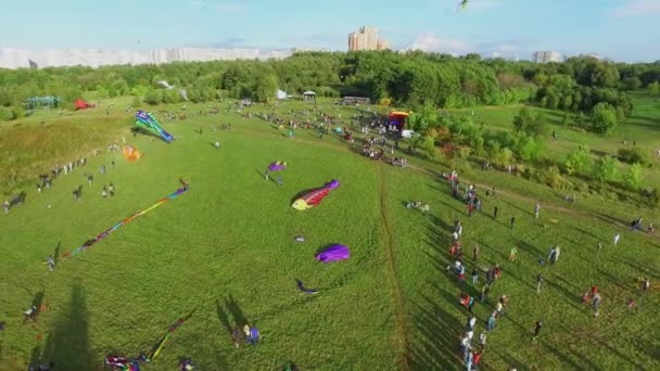 Stadsparken med människor lanseringen drakar — Stockvideo