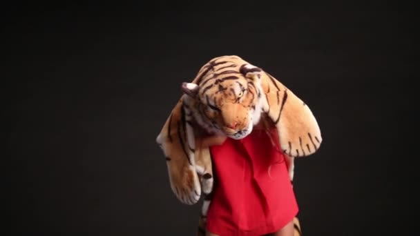 Flicka i klänning och mjuk kostym av tiger — Stockvideo