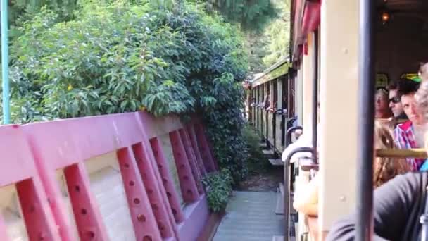 Moving wagons of small train in Disneyland — Stock Video