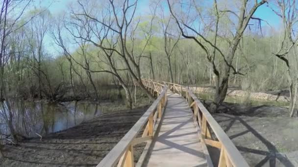 Pont en bois entre les arbres dans le parc national  