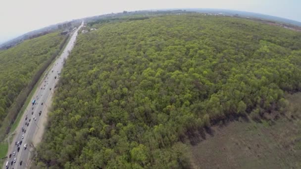 Traffico di trasporto vicino alla foresta e al paesaggio urbano — Video Stock