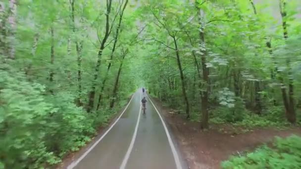 Дівчина їде на велосипеді на алеї в парку — стокове відео