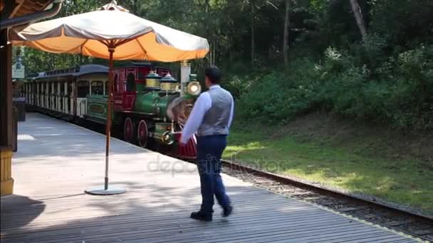 Прибуття маленький поїзд у Frontierland Діснейленд — стокове відео