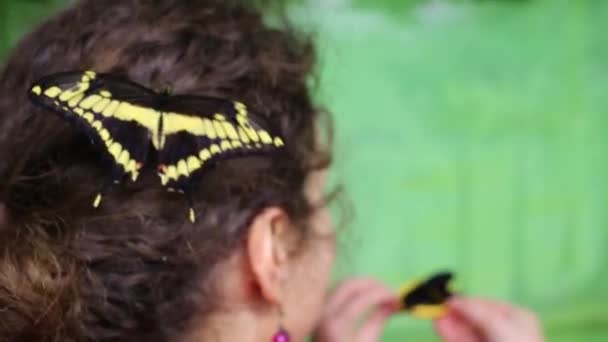 Tropical butterfly sits on head of woman — Stock Video