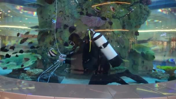 Taucher auf dem Grund des Aquariums in Einkaufszentrum — Stockvideo
