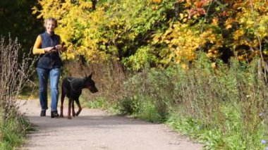 Sonbahar orman onun köpek ile kadın yürüyor