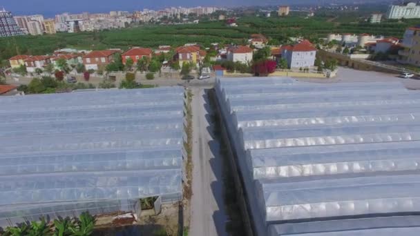 Serres parmi les champs agricoles dans la ville du sud — Video