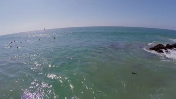 Femme promenades sur planche de surf dans l'océan — Video