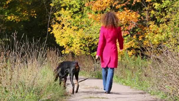森林の彼女の犬と一緒に歩いている女性 — ストック動画