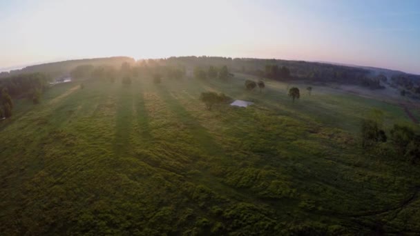 De stralen van de zon over veld met mist — Stockvideo