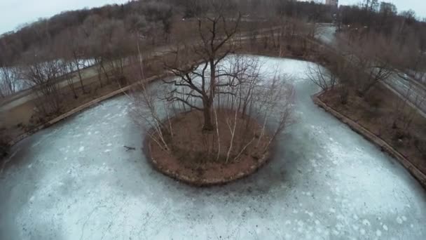 Bomen op het eiland in Elk vijver — Stockvideo