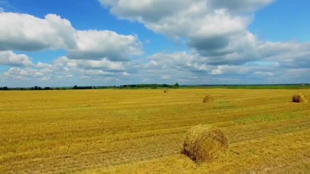 Nuvens acima do campo com rolos de feno — Vídeo de Stock