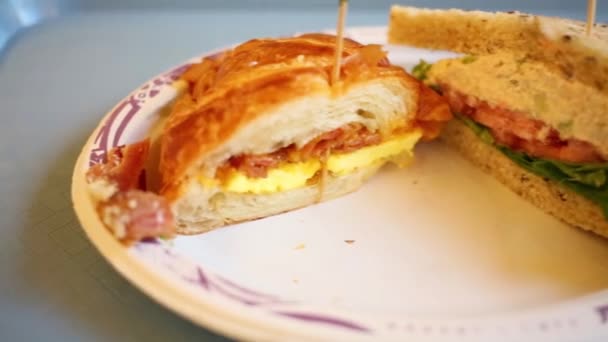 Two fresh delicious sandwiches on plate — Stock Video