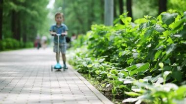Küçük yakışıklı çocuk scooter yaz yeşil park gezintisi