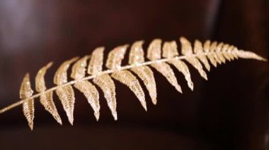 Tüy sallanan altın christmas dekorasyon şeklinde.