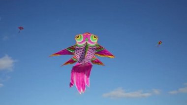 Üzerinde mavi gökyüzü bulutlu rüzgarda uçan uçurtma pembe baykuş