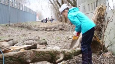 Cap testere eski düşmüş ağaç bahar günü açık kız