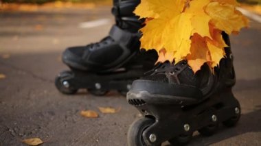 Tekerlekli paten kuru akçaağaç ile bir kadının bacakları bırakır