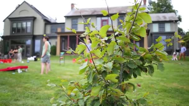 人们在小屋附近的绿色草坪上玩游戏 关注布什 — 图库视频影像