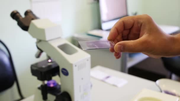 Diapositiva Del Microscopio Las Manos Asistente Laboratorio Clínica — Vídeos de Stock