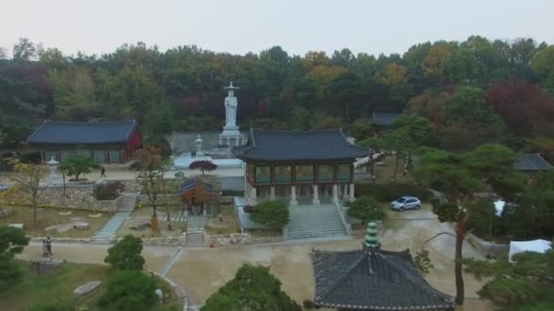 Seoul Nov 2015 Koreanska Templet Bongeunsa Med Staty Buddha Höstdag — Stockvideo