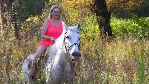 Mujer Vestido Corto Rosa Cabalgando Hermoso Caballo Blanco Aire Libre — Vídeos de Stock