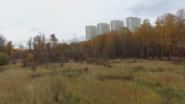 女性は歩く国立公園内の草の間でエルク島の住宅の複合体からそれほど遠くない秋曇りの日で 航空写真ビュー — ストック動画
