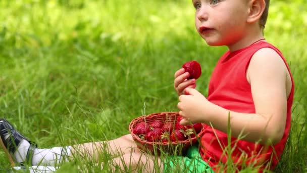 Kleiner Junge Sitzt Auf Gras Und Isst Erdbeeren Park — Stockvideo