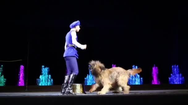 Moskova Rusya Aralık 2014 Kadın Hayvan Terbiyecisi Shagged Köpekle Sahnede — Stok video