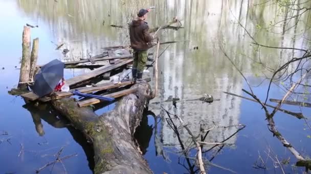 流木や湖の釣りで釣り竿と立っている男 — ストック動画
