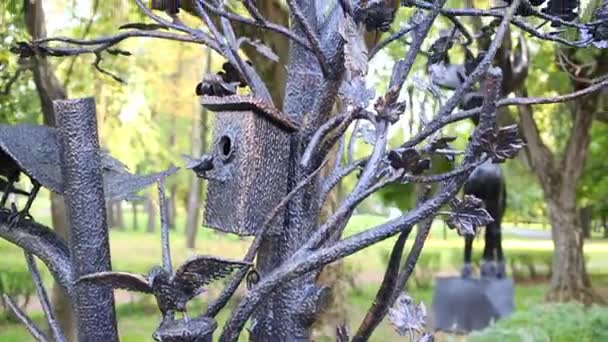 Hermoso Árbol Con Hojas Hierro Pajareras Aves — Vídeo de stock