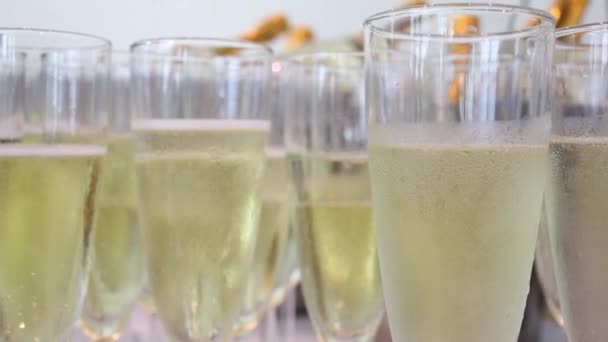Rij Gevuld Met Champagne Glazen Staan Opgesteld Aan Tafel — Stockvideo