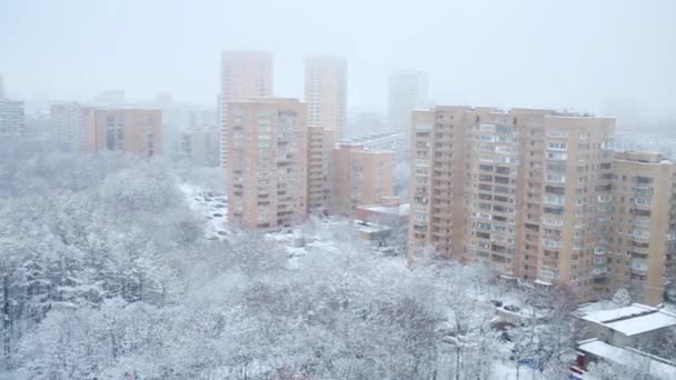 Muitas Árvores Cobertas Por Neve Edifícios Residenciais Dia Inverno — Vídeo de Stock