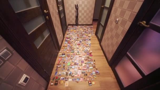Viele Kühlschrank Souvenir Magnete Auf Dem Boden Flur Ausgebreitet — Stockvideo