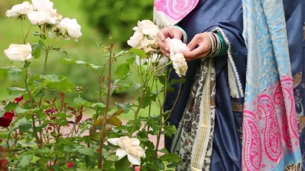 妇女在花边衣裳触碰白色玫瑰的花瓣在芽 — 图库视频影像