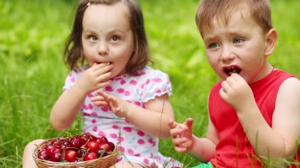 草の上に座る男の子と女の子と公園で果実を食べる — ストック動画