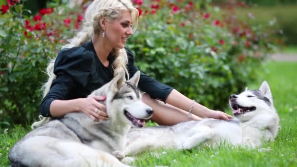 Mulher Com Filas Sentadas Grama Acariciando Dois Cães Huskies Parque — Vídeo de Stock