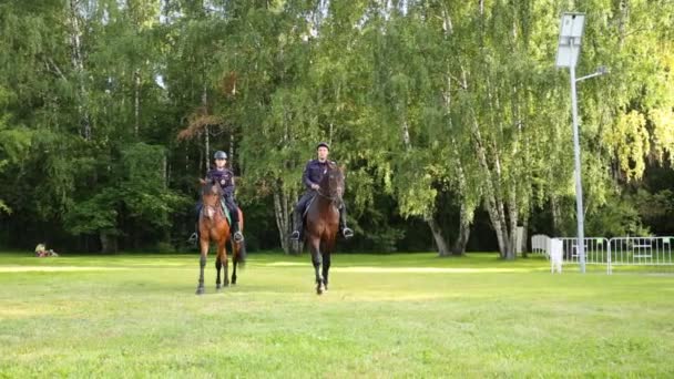 莫斯科 2015年8月6日 公园草坪上的两名马警察 公园索科尔尼基特别警察中队巡逻 — 图库视频影像