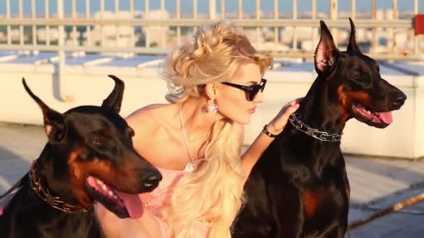 Vacker Blond Kvinna Strök Doberman Taket Hög Byggnad — Stockvideo