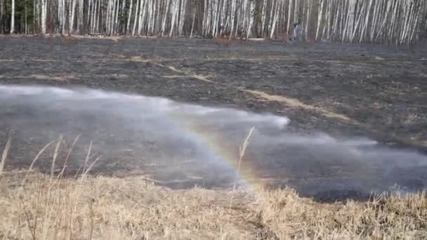 Ruisseau d'eau provenant du tuyau d'incendie arrosage restes d'herbe brûlante et arc-en-ciel dans le parc .